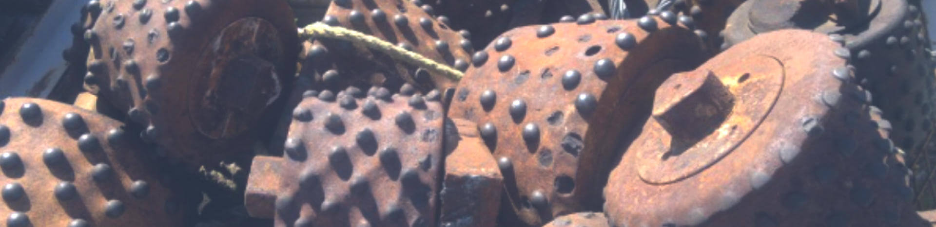 header image